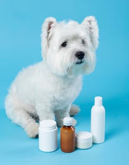 dog perfume (1) dog perfume (1)