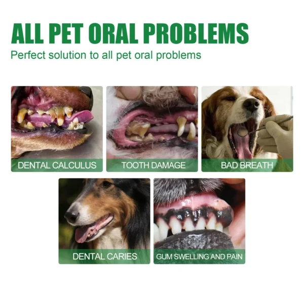 Dog Perfume Teeth Whitening & Fresh Breath Spray - Image 2