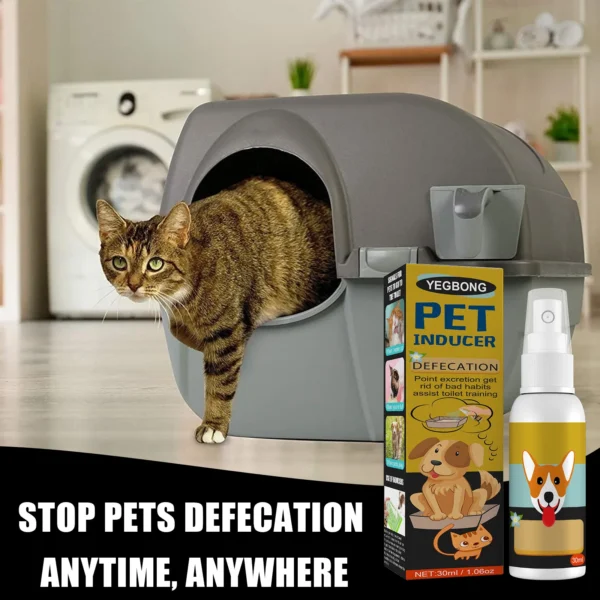 Dog Perfume: Pet Toilet Training & Positioning Spray - Image 4