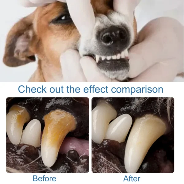 Dog Perfume: Oral Spray for Fresh Breath & Plaque - Image 5