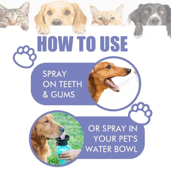 Dog Perfume: Breath Freshener & Plaque Remover - Image 6