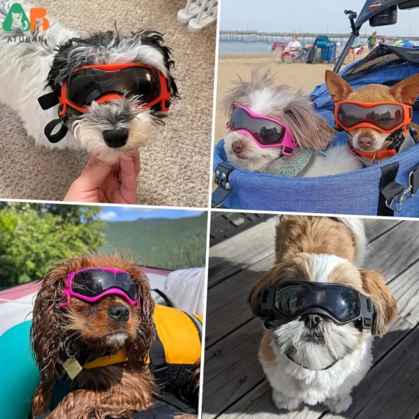 Dog Perfume Small Breed UV Protection Goggles - Image 6