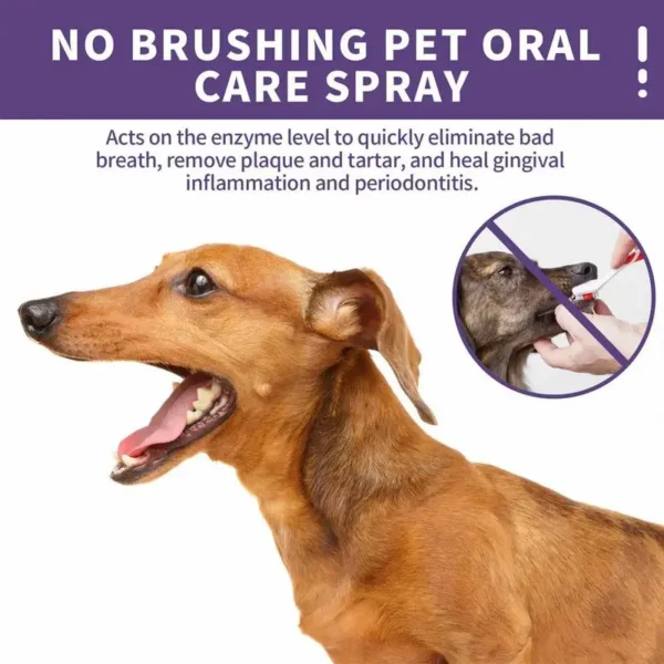 Dog Perfume - Natural Breath Spray 50ml - Image 2