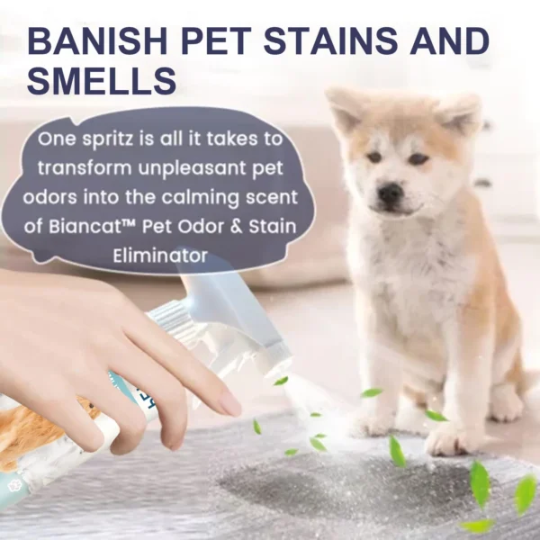 Dog Perfume: Natural Deodorizer & Odor Eliminator - Image 3