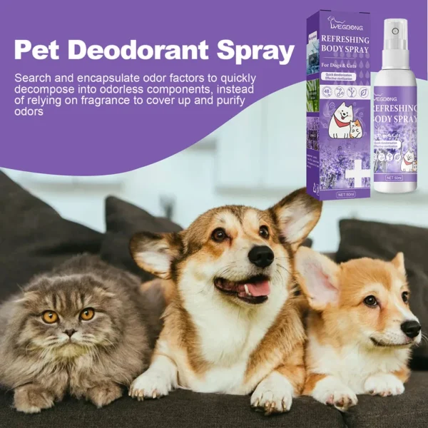 Dog Perfume - Lavender Scent Odor Remover - Image 3