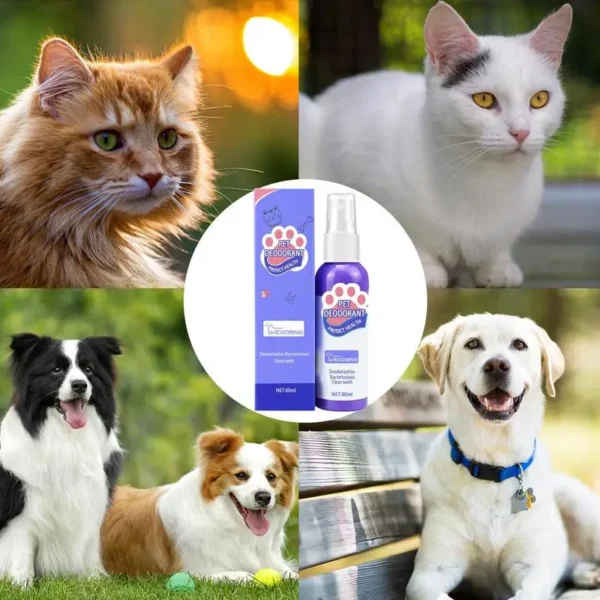 Dog Perfume - Oral Cleanse Spray, 60ml - Image 3