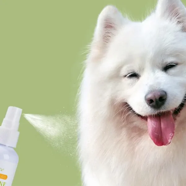 Dog Perfume - Long-Lasting Odor & Calming Spray - Image 3