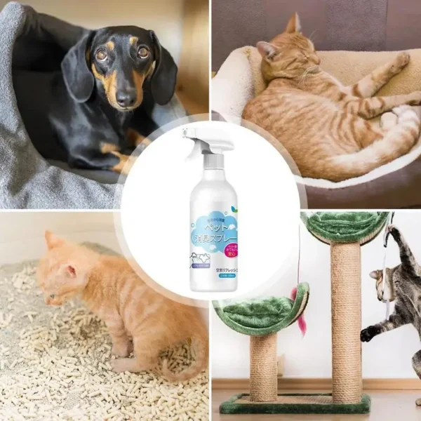 Dog Perfume: Professional Odor Eliminator Spray - Image 4