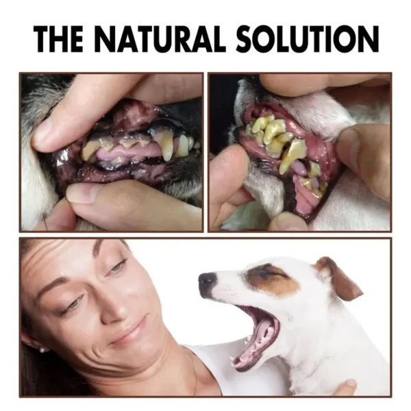 Dog Perfume Fresh Breath & Teeth Spray - Image 5