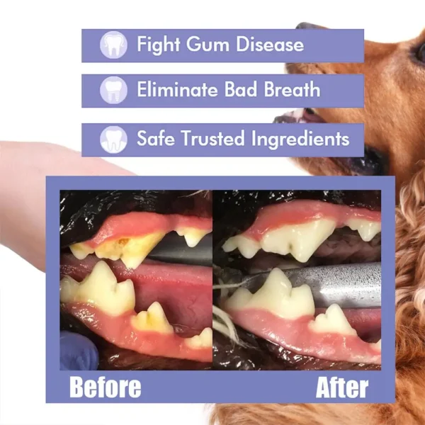Dog Perfume - Teeth Cleaning & Breath Freshener Spray - Image 5