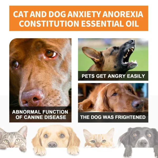 Dog Perfume - Natural Anxiety & Skin Relief Drops - Image 4