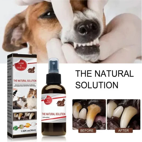 Dog Perfume Fresh Breath & Teeth Spray - Image 2