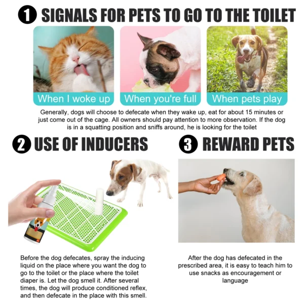 Dog Perfume - Potty Training & Positioning Spray - Image 4