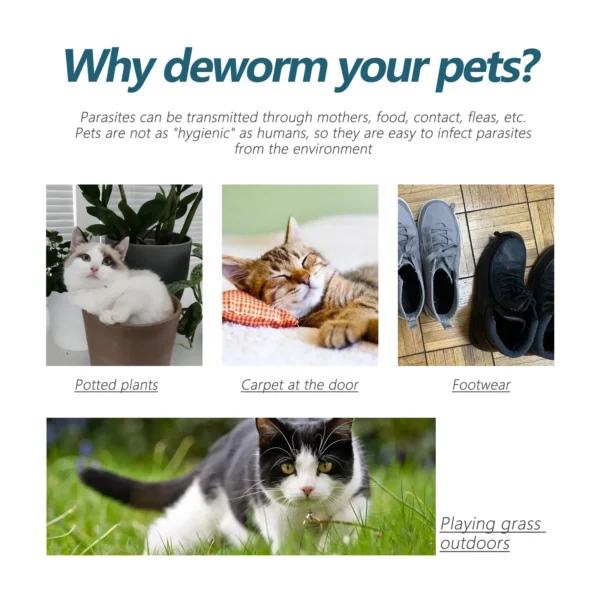 Dog Perfume - Flea & Tick Removal Drops - Image 3