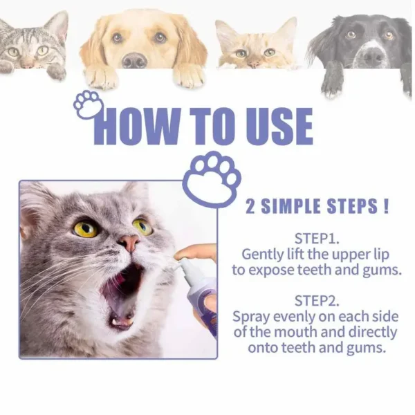 Dog Perfume - Natural Breath Spray 50ml - Image 5