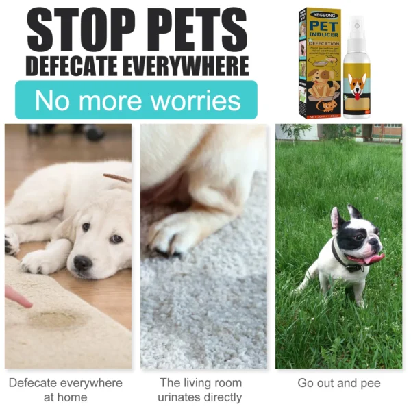 Dog Perfume - Potty Training & Positioning Spray - Image 3