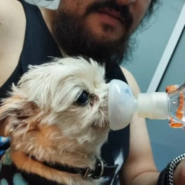 Dog Perfume - Inhalation Assist Mask for Pets - Image 6