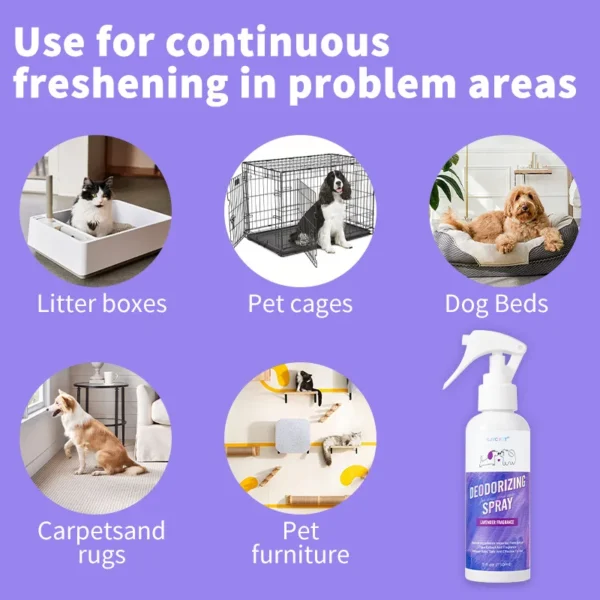 Dog Perfume: Lavender Odor Eliminator for Pets - Image 4