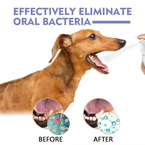 Dog Perfume: Breath Freshener & Plaque Remover - Image 5