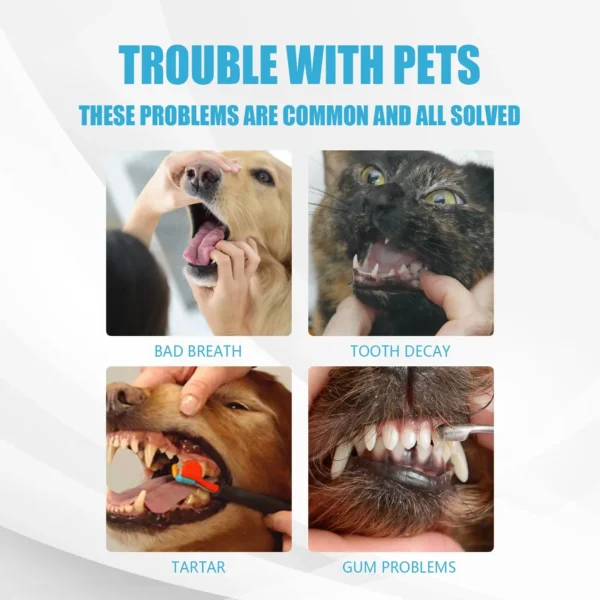 Dog Perfume Toothpaste Tartar Cleaning & Whitening - Image 5