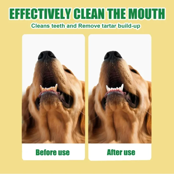 Dog Perfume Teeth Whitening & Fresh Breath Spray - Image 5