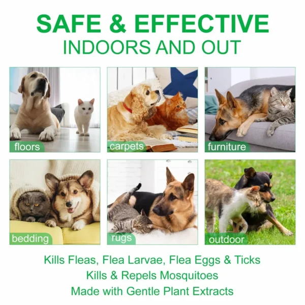 Dog Perfume: Natural Flea Spray with Peppermint - Image 6